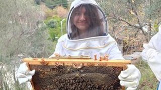 aricilik - aricilik-3