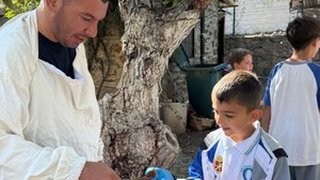 aricilik - aricilik-4