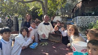 aricilik - aricilik-5