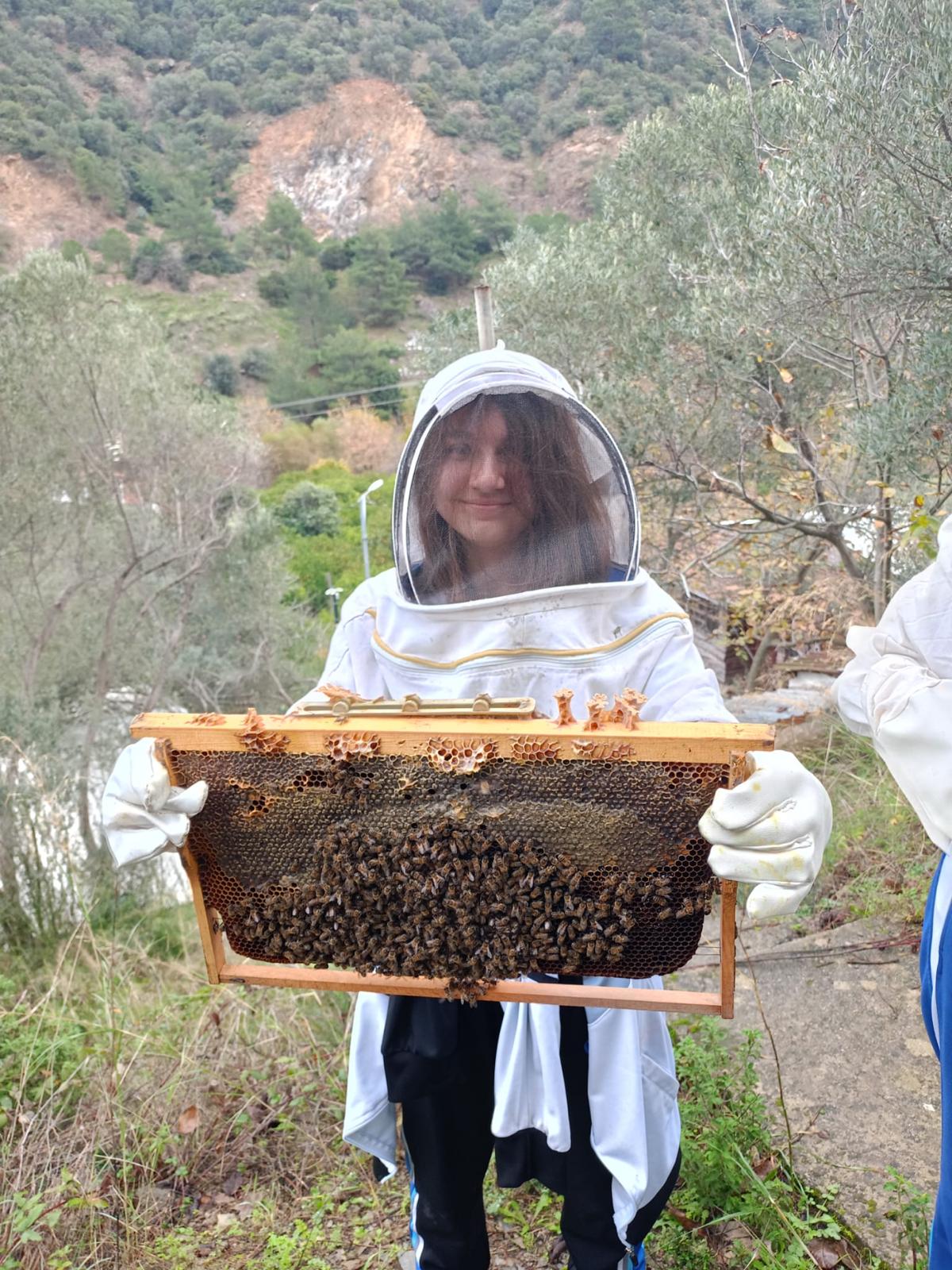 Arıcılık atölyesi deneyimi