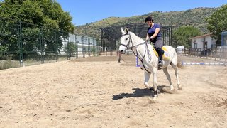 binicilik - binicilik-1