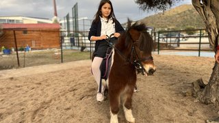 binicilik - binicilik-13