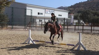 binicilik - binicilik-15