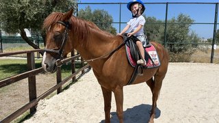 binicilik - binicilik-16