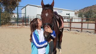 binicilik - binicilik-2