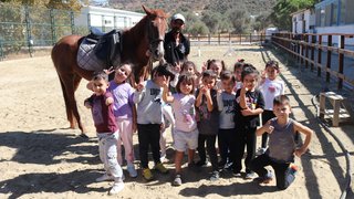 binicilik - binicilik-3