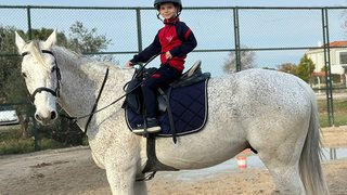 binicilik - binicilik-4