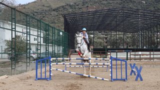 binicilik - binicilik-5