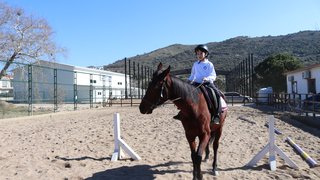 binicilik - binicilik-6