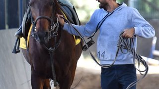 binicilik - binicilik-7