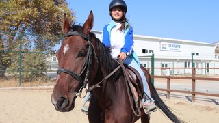 binicilik - binicilik-9