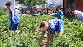 ekolojik-tarim-ve-hayvancilik - ekolojik-tarim-ve-hayvancilik-10