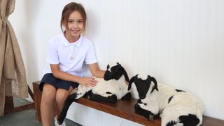 ekolojik-tarim-ve-hayvancilik - ekolojik-tarim-ve-hayvancilik-12