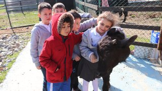 ekolojik-tarim-ve-hayvancilik - ekolojik-tarim-ve-hayvancilik-13