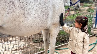 ekolojik-tarim-ve-hayvancilik - ekolojik-tarim-ve-hayvancilik-17