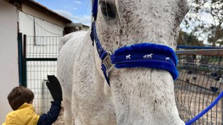 ekolojik-tarim-ve-hayvancilik - ekolojik-tarim-ve-hayvancilik-18