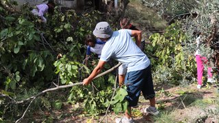 ekolojik-tarim-ve-hayvancilik - ekolojik-tarim-ve-hayvancilik-22