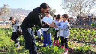 ekolojik-tarim-ve-hayvancilik - ekolojik-tarim-ve-hayvancilik-23