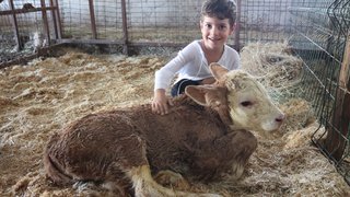 ekolojik-tarim-ve-hayvancilik - ekolojik-tarim-ve-hayvancilik-24