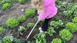 ekolojik-tarim-ve-hayvancilik - ekolojik-tarim-ve-hayvancilik-3