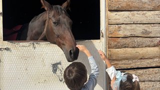 ekolojik-tarim-ve-hayvancilik - ekolojik-tarim-ve-hayvancilik-4