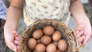 ekolojik-tarim-ve-hayvancilik - ekolojik-tarim-ve-hayvancilik-5