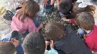 ekolojik-tarim-ve-hayvancilik - ekolojik-tarim-ve-hayvancilik-6