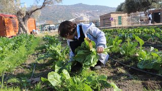 ekolojik-tarim-ve-hayvancilik - ekolojik-tarim-ve-hayvancilik-7