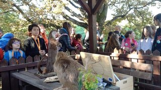 keep-your-water-clean-save-the-world - keep-your-water-clean-save-the-world-4