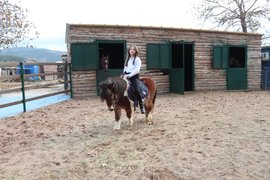 binicilik - binicilik11