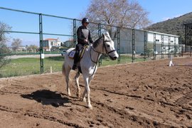 binicilik - binicilik12