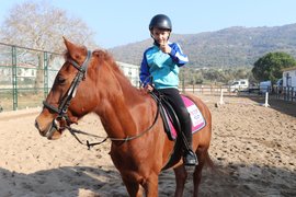 binicilik - binicilik13