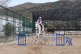 binicilik - binicilik14