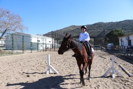 binicilik - binicilik16