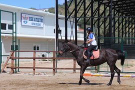 binicilik - binicilik18