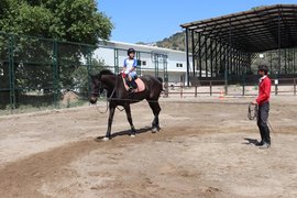 binicilik - binicilik19