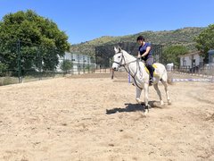 binicilik - binicilik2