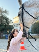 binicilik - binicilik20