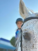 binicilik - binicilik23