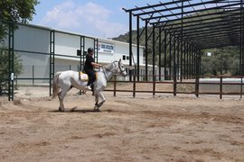 binicilik - binicilik3