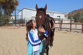 binicilik - binicilik5