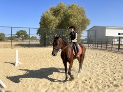 binicilik - binicilik6