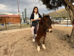 binicilik - binicilik8