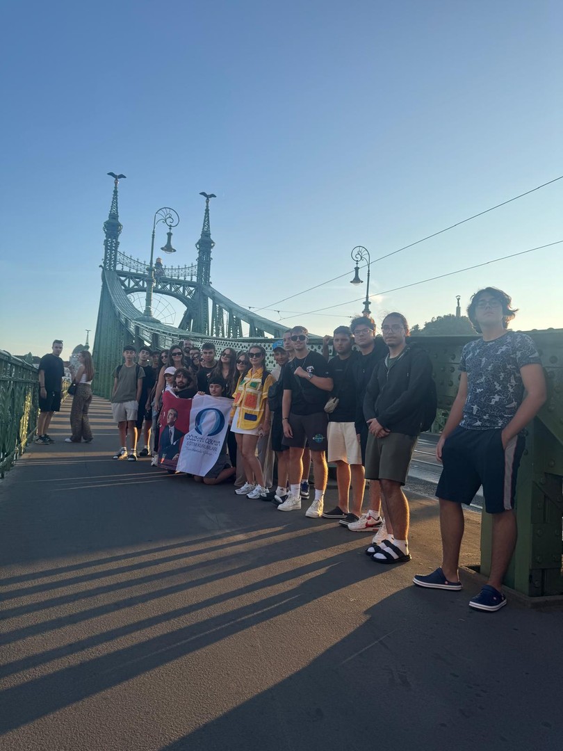 Toplumsal etki projeleri