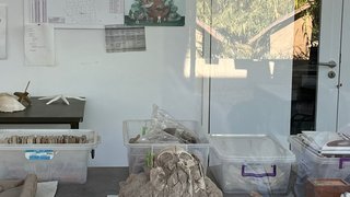 yesilova-hoyugu - yesilova-hoyugu-4