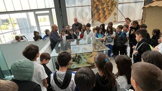 yesilova-hoyugu - yesilova-hoyugu-5